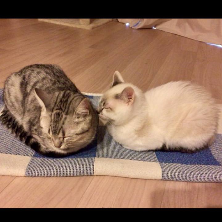 D0ca8c01 aac8 4ca9 ac09 7e3940de7923