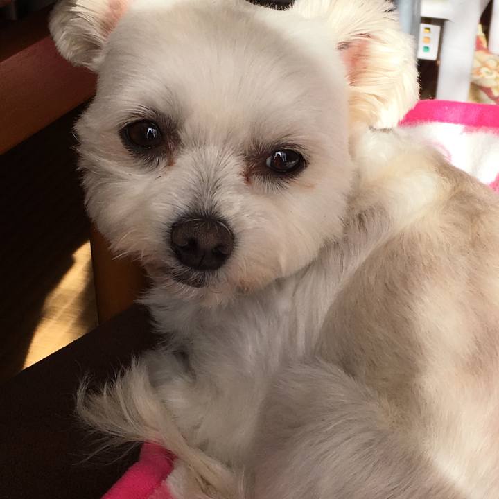 D0caa15b 9406 45fc b8c3 d92d8ea0bd29