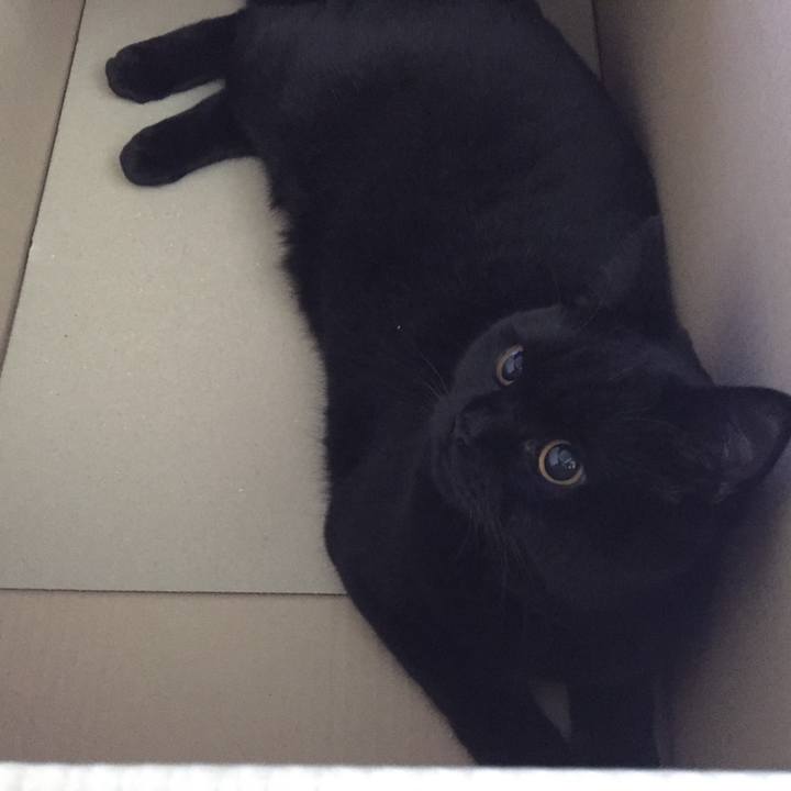 D0cb3617 39bf 4c6e bf2a 4684c0161ba6