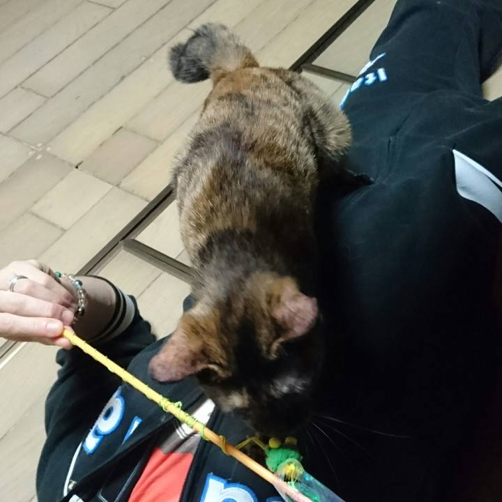 D0cbbf9b 7210 4b16 a904 5a7278e6cac9