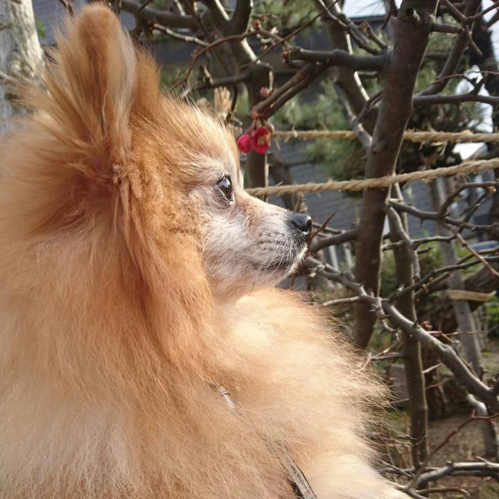 D0cc6fcd 0f7e 4e8c 9242 361bad61f583