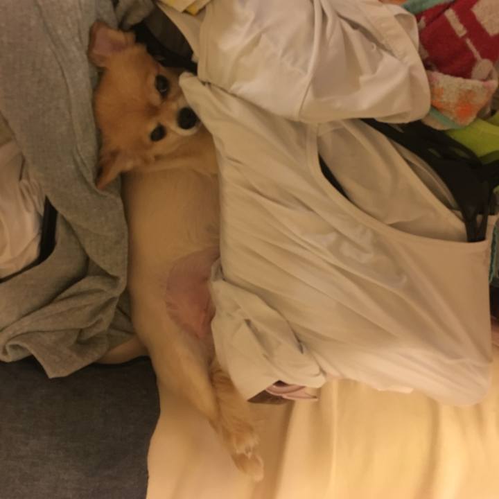 D0ccea11 14b4 433c bcbc 385a632460cc