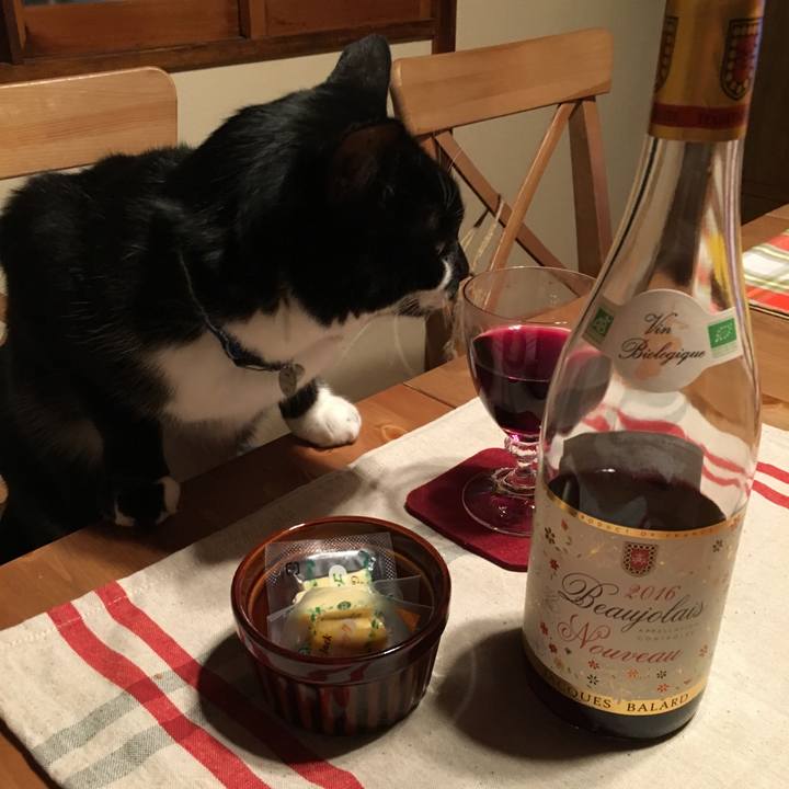 D0cd8fa6 d88c 43e0 9ef7 f717beea8b80