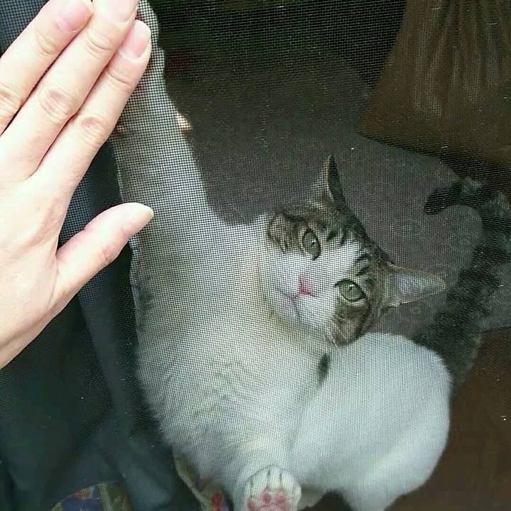 D0ce3139 9a20 4e1c 8cd1 e5db115f2997