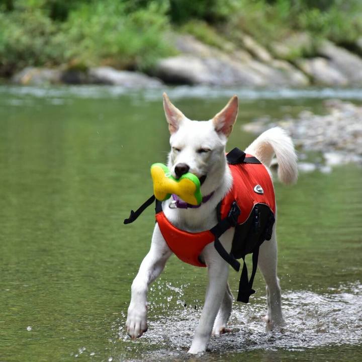 D0cf5643 b5f5 40f2 ad2e 925d03ca56c7