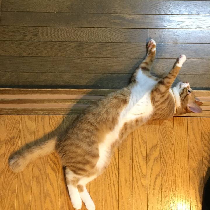 D0cf5c2e ed6a 4e6d b217 ca2ddb612728