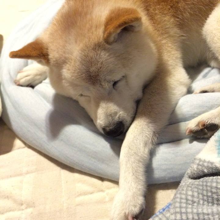 D0cf7421 09b7 4b85 bb4f d316cb20ead3