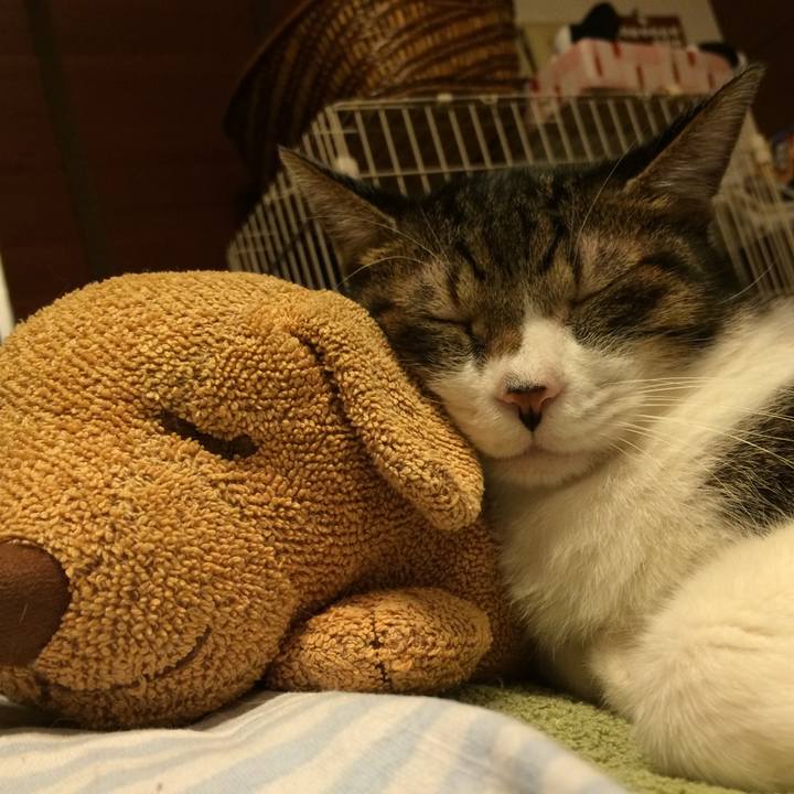 D0d09778 575b 40ea b407 304530cf5835