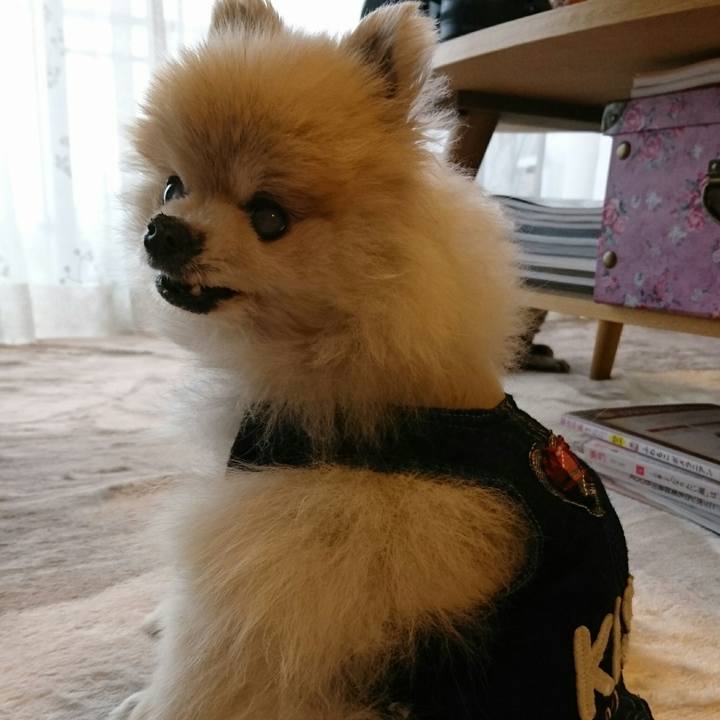 D0d11e9d 30dc 49e8 89b3 5402e213c32c