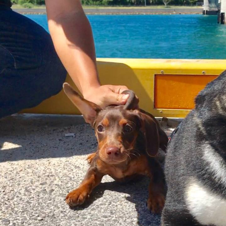 D0d13c7e 776c 45e0 9681 c0ccbbcead34