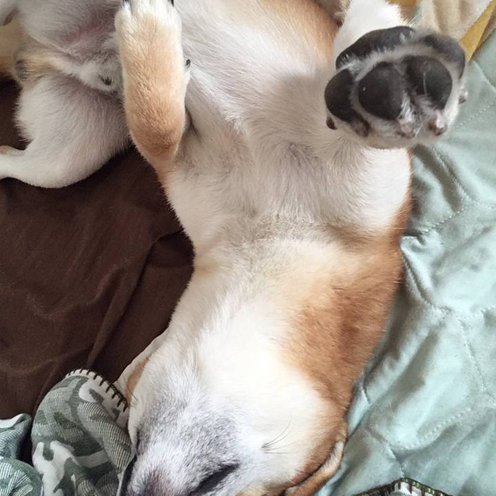 D0d209e5 25d8 4d8b 87d3 9e77fecd1da9