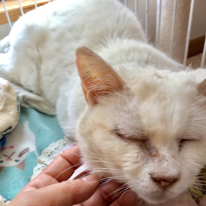 D0d29367 cdfb 436b 8c5b 594fc652c9ed