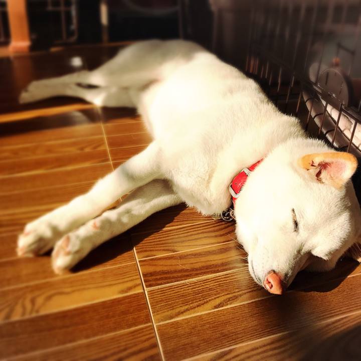 D0d2e892 b4f7 4d15 8078 1b401446422f