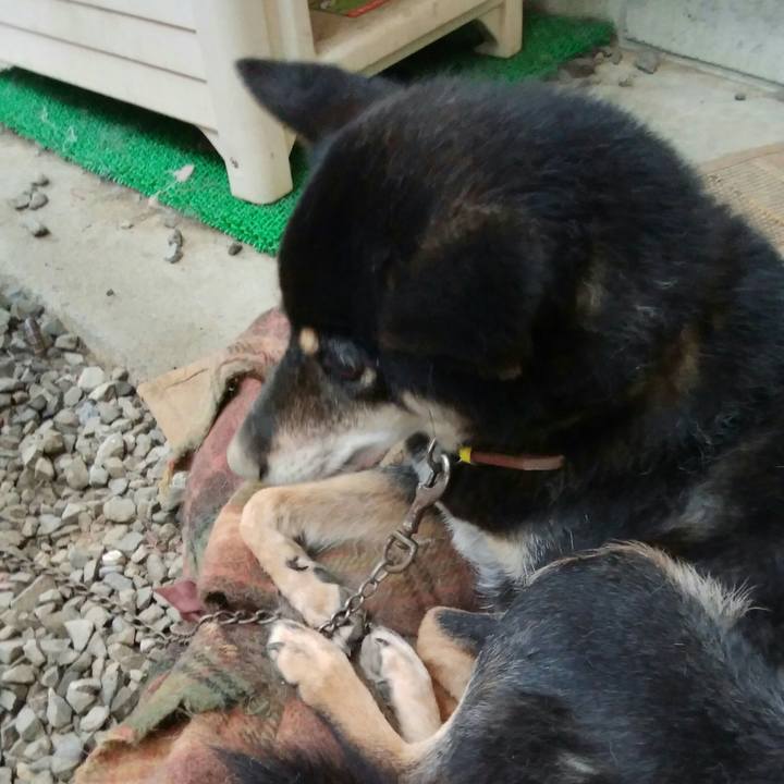 D0d36d9b 391c 4621 90d1 b81b5becaa93