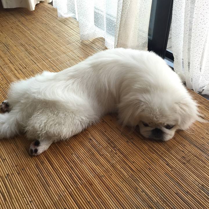 D0d41e76 415f 4a0c aa44 55024b9314ec