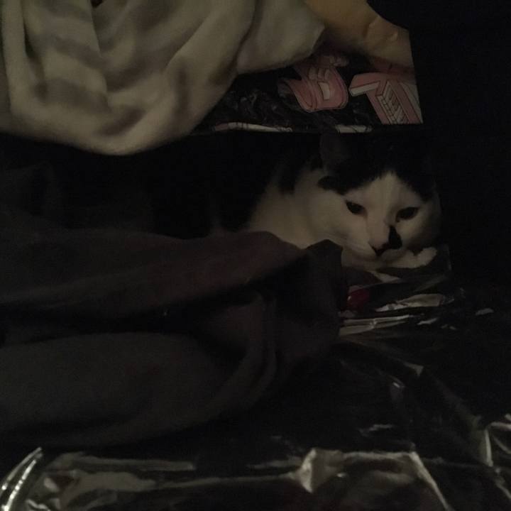 D0d44008 6db9 4cc8 aa6a a7e9379dd443