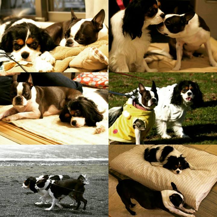 D0d49bae 8568 4ec2 ada4 83a4d0a49fb7