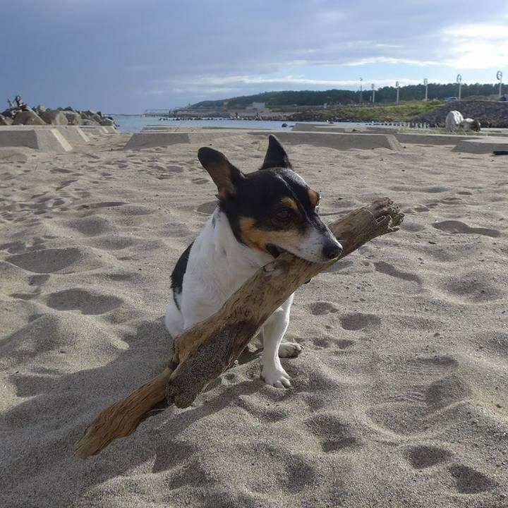 D0d4a25d 154e 49d4 a8dd fd7ee16f075d