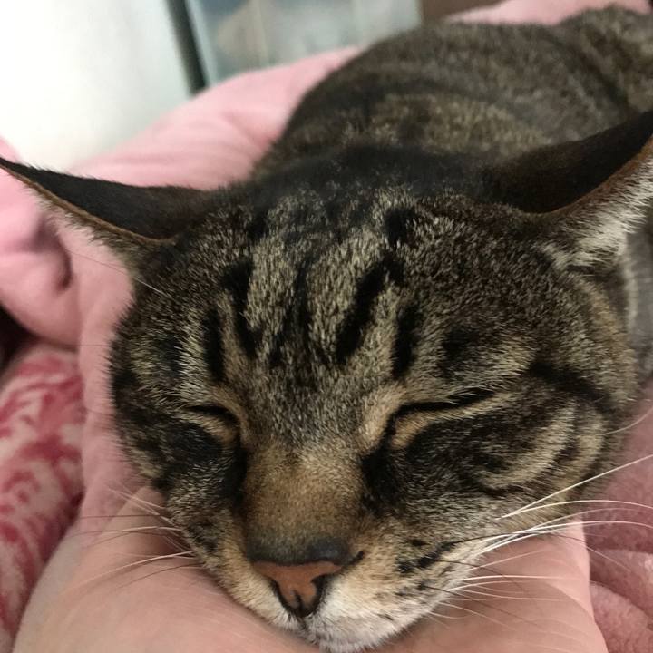 D0d4eaf6 ae7f 4c35 9e41 733341ac8d5f