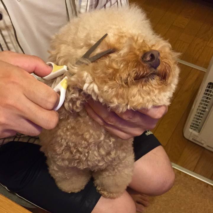 D0d4f647 65c8 45bb 952d 338e257d8c94