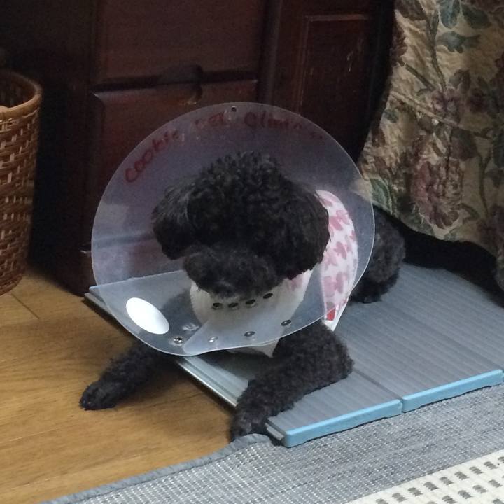 D0d50dfb 5050 4699 b139 60728a167406