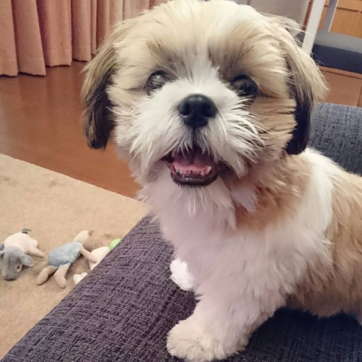 D0d57074 1779 4005 8951 683115a984cc