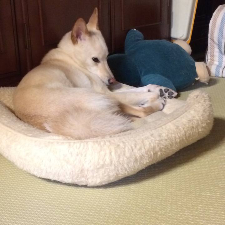 D0d5dc36 df27 44f5 8849 78b5ace3211a