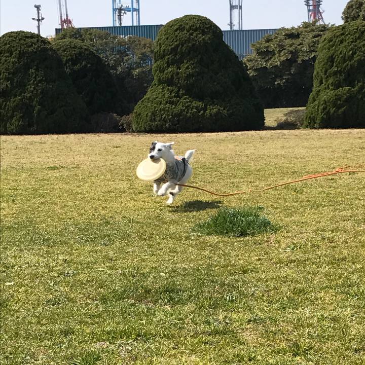 D0d5fdd5 0494 430e 8d60 517fe7615602