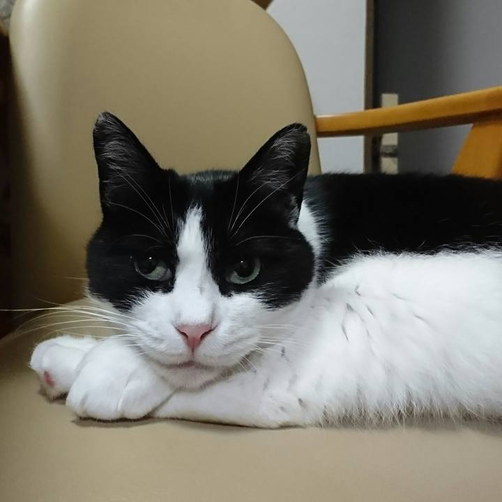 D0d66dc5 eb58 4548 9da9 a8cbc3d7a538