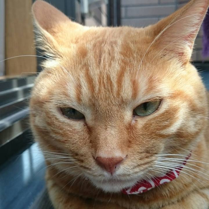 D0d6b715 3026 4fa6 99aa 5e7276761072