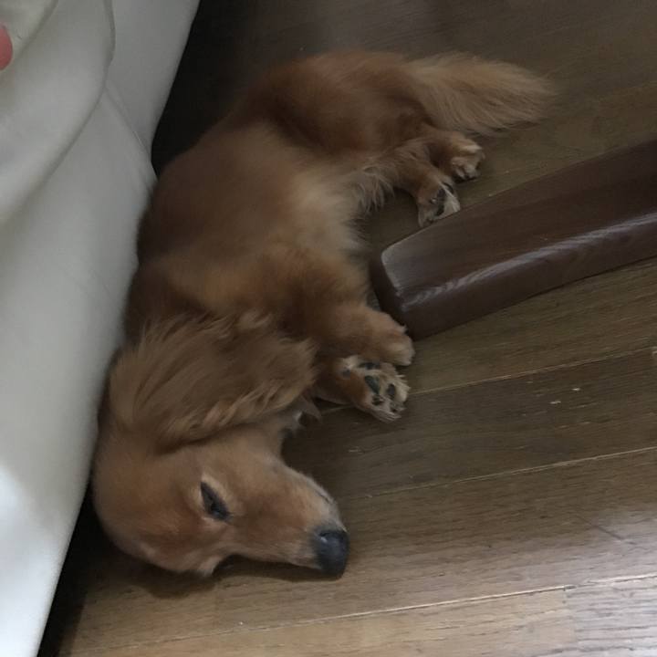 D0d78b0f de8b 4c46 a95d 2a25f443710f