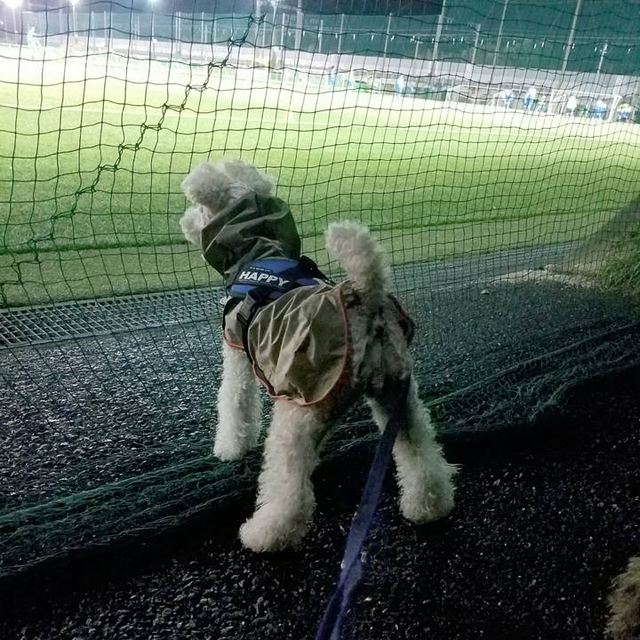 D0d87dc3 27ed 4f85 928c 72a6cdc8db29