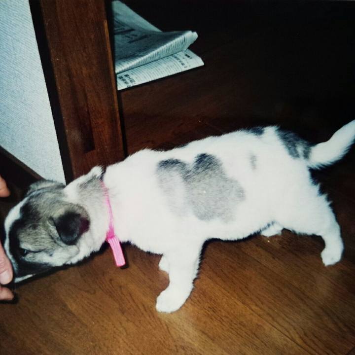 D0d887ef d787 449a a1e7 b2070f171592