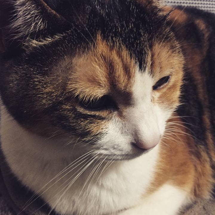 D0d9ffd9 d295 40f7 9758 dc8bb6757bb1