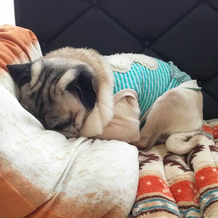 D0da11bd 9516 4d1a a71b 6d33de8d5efd