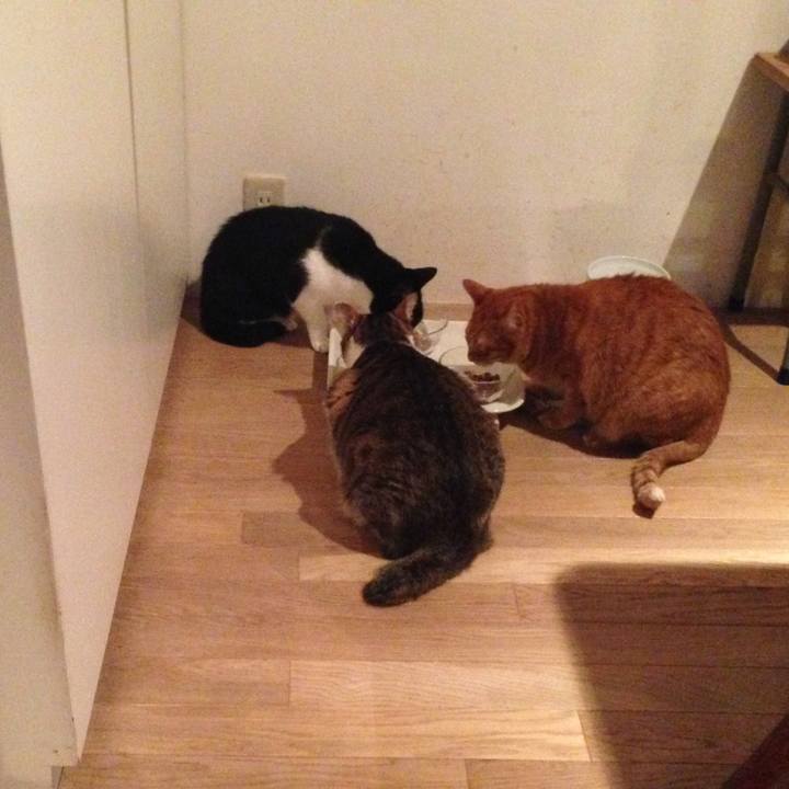 D0daae56 842d 469c af93 c01063b28719