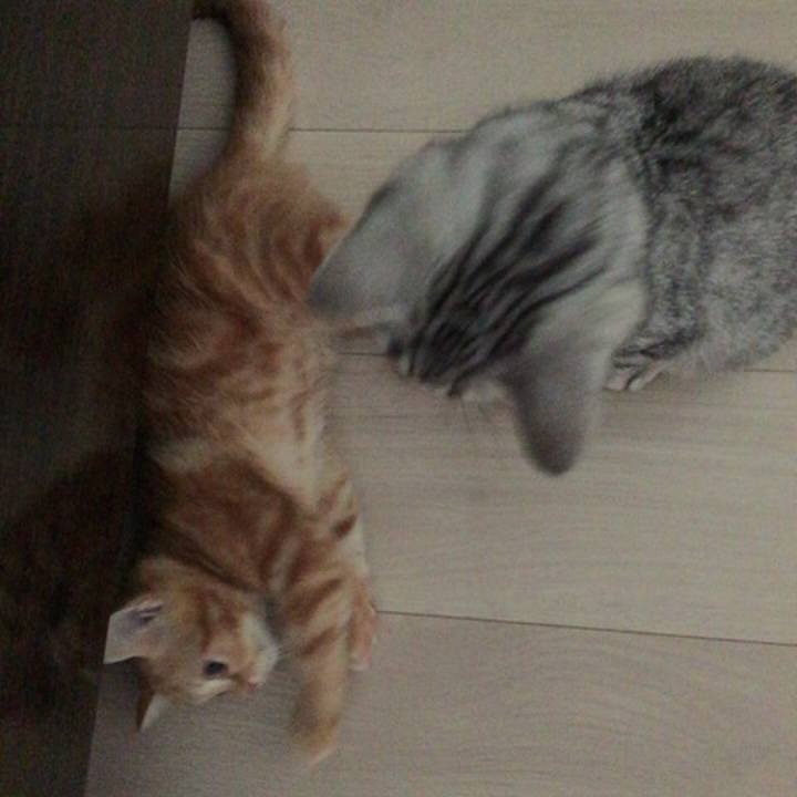 D0dada61 c925 491e bd61 20c2a8abace8