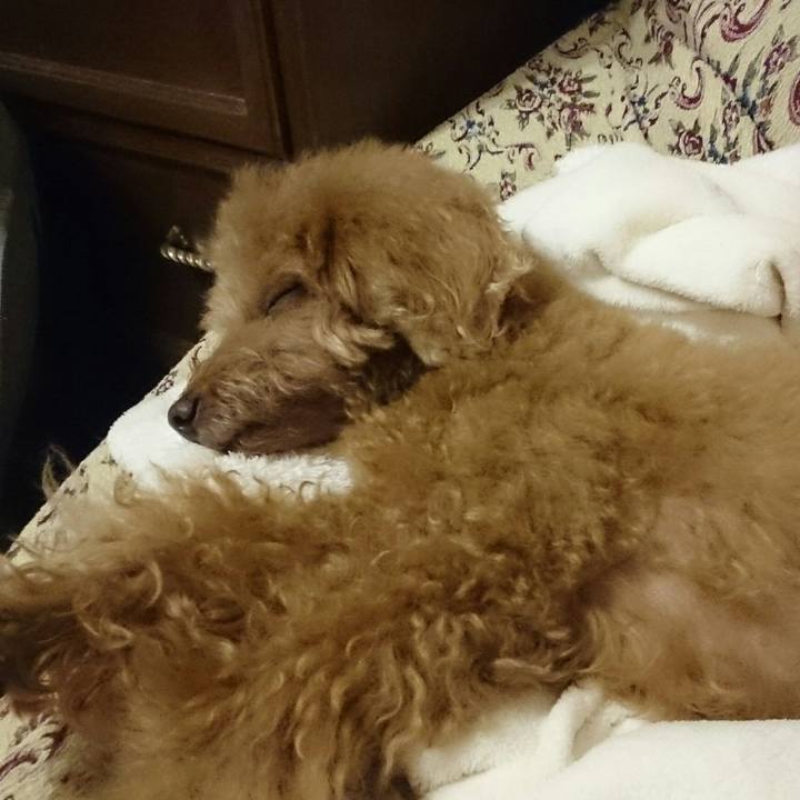 D0daf700 fb03 455e 8ad4 c0d6500dea4f