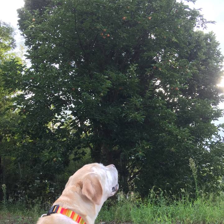 D0daf7e4 bc08 458a 9683 50e22b087ffb