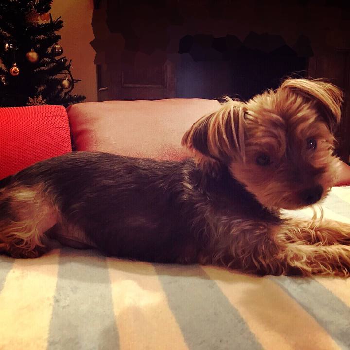 D0dbbcc2 1b6f 472f 8444 79d1335a7a68