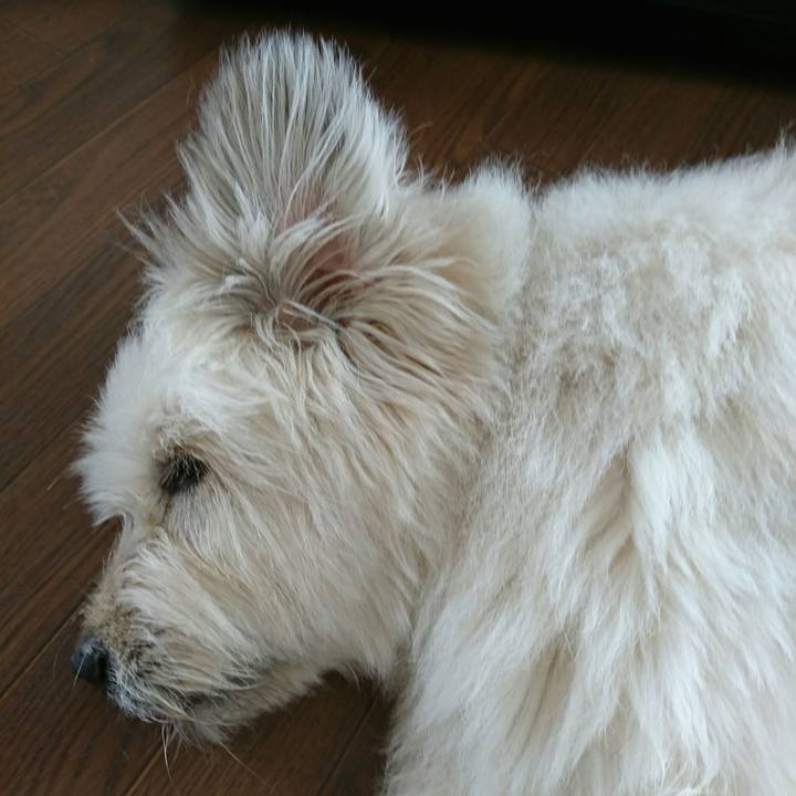 D0dc1bee e257 4e52 9037 f360fa7dfeaf