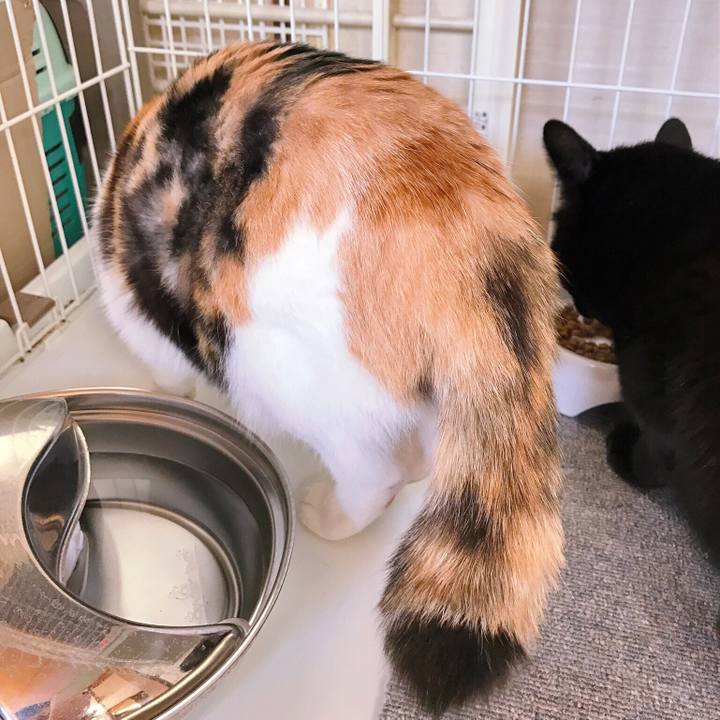 D0dcbace 169f 4d4e 8d9c 3e5fac4ccad3