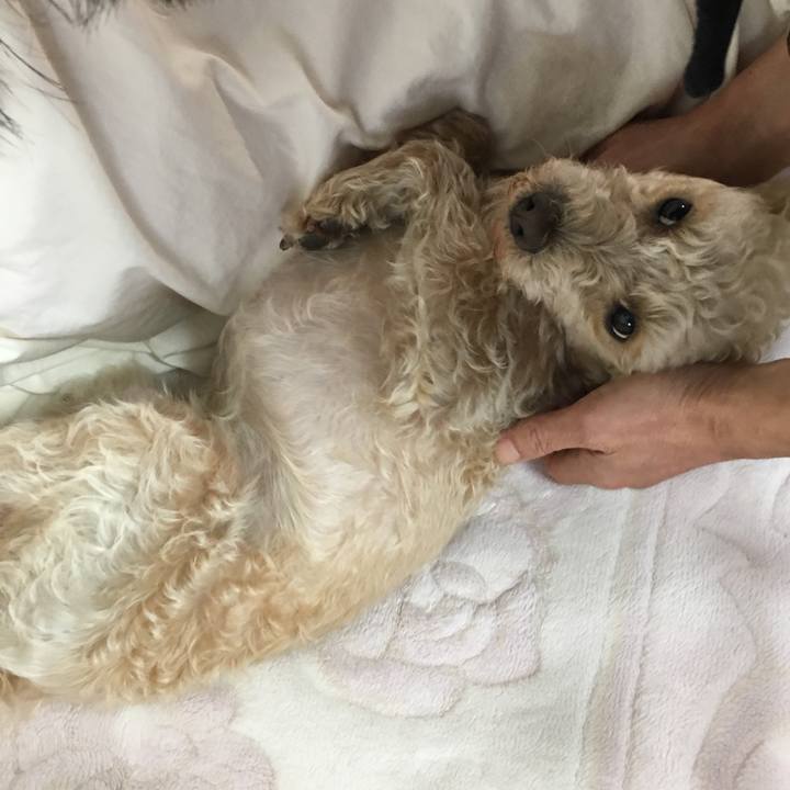 D0dcc03c c160 4a1d a100 b7382ef1bd4e