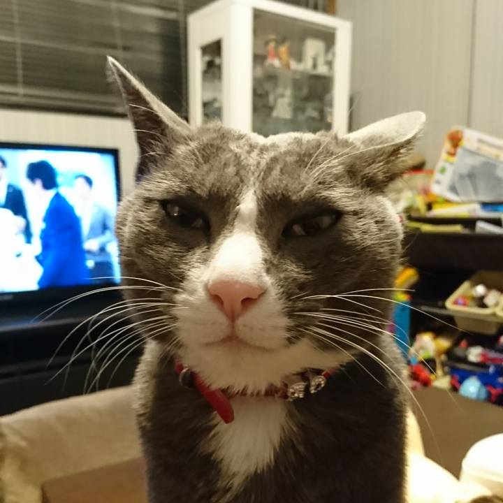 D0de200c 6eda 4076 bfb4 d39814d332b7