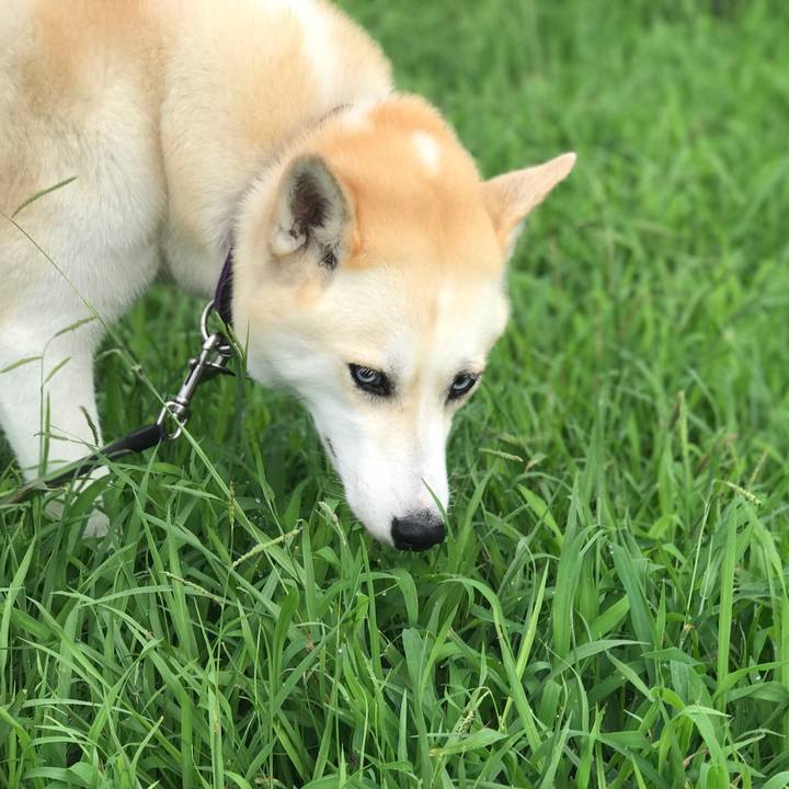 D0de5ec8 48de 43cc 84d8 e14332ea5502