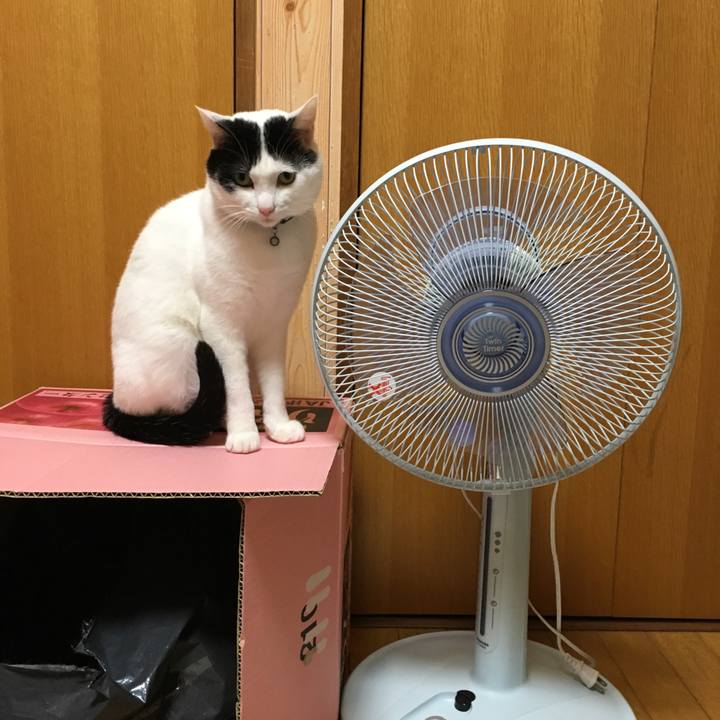 D0de6831 d10c 4952 b0b9 e8914e1dbfb6