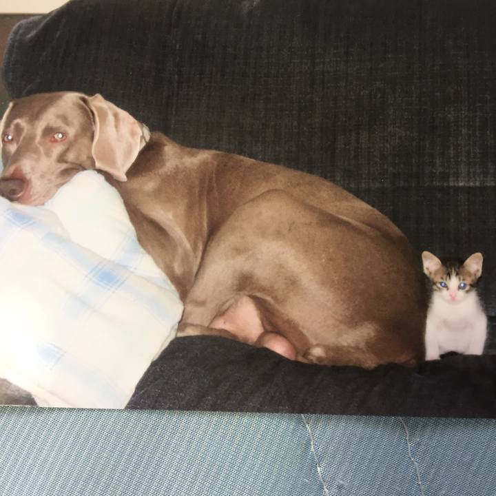 D0def254 d4f1 4079 a93b da4f2e2a97f0