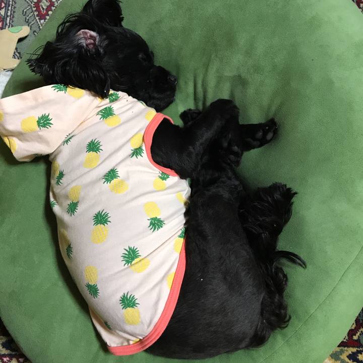 D0df50c8 c130 455e ad4a b5996b37ed40