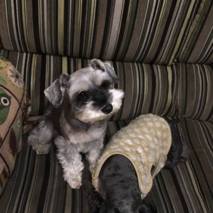 D0dfe148 9d01 4b91 a9f3 40dc6024f79c