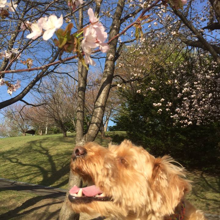 D0e01c71 0201 4536 b53d cb9d973ed9b2